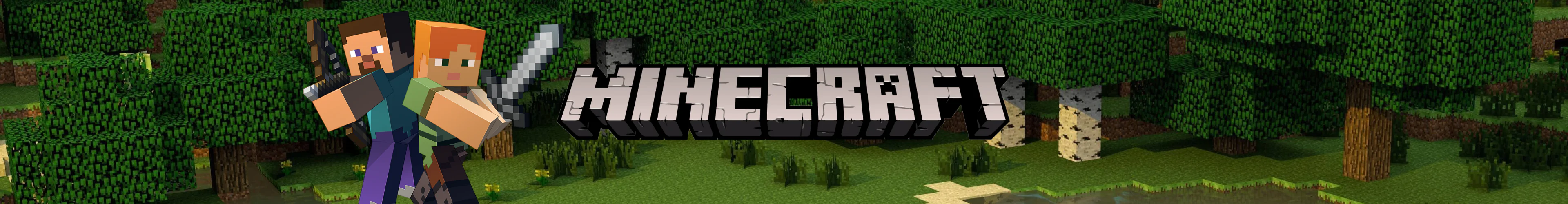 Minecraft spiele banner