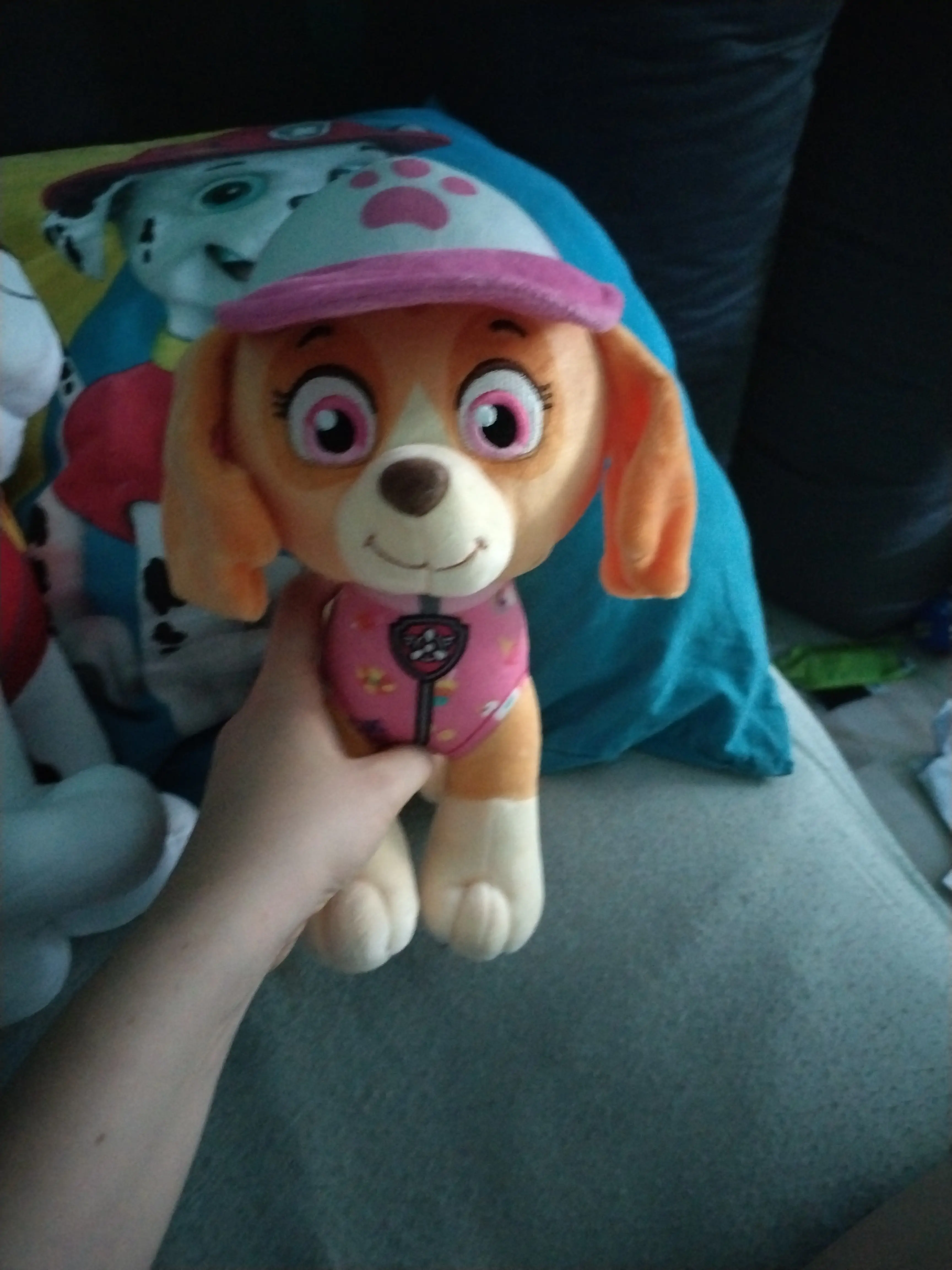 Paw Patrol Skye Summer Plüschfigur 27cm Produktfoto