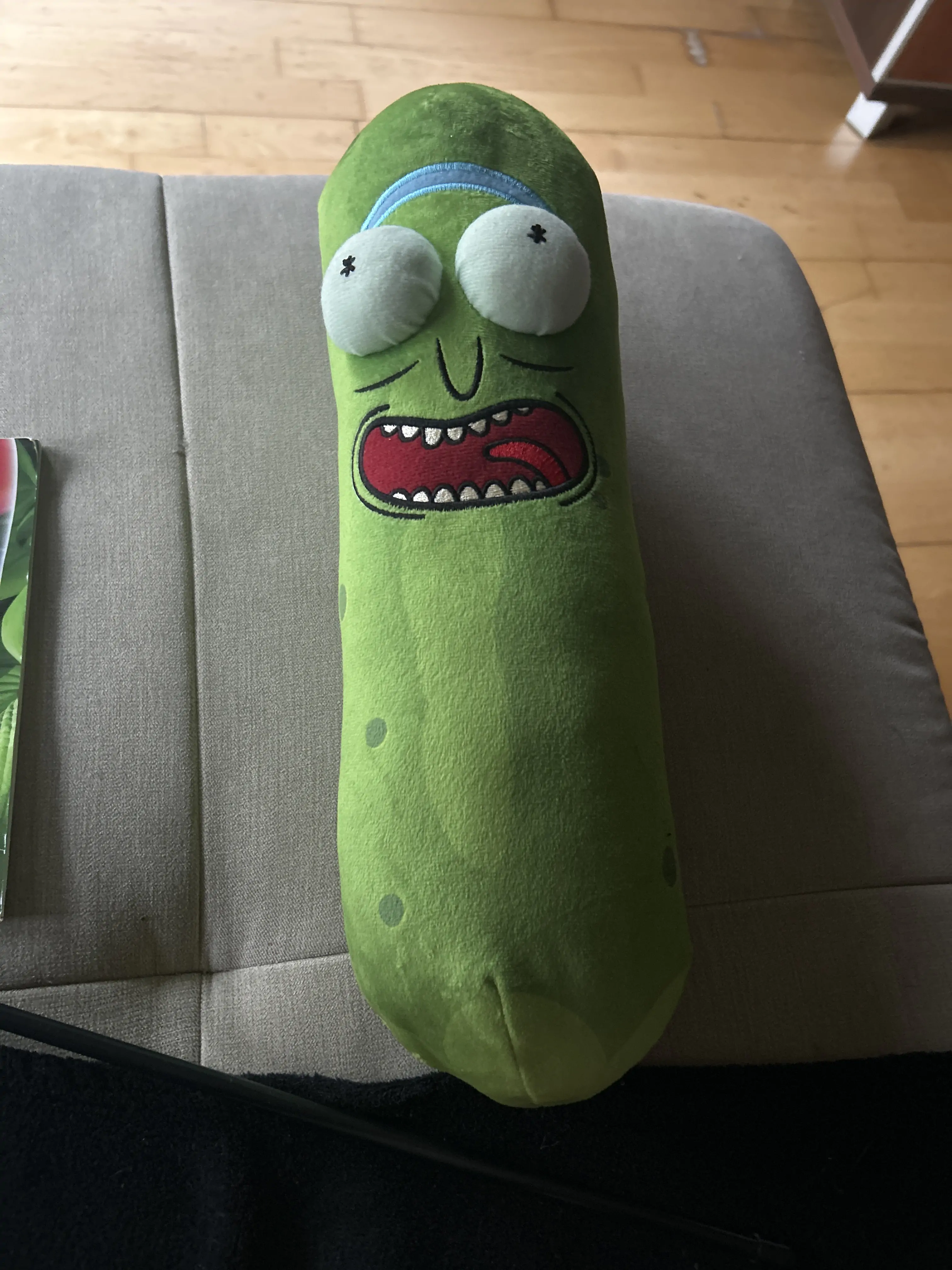 Rick and Morty Pickle Rick Plüschtier 38 cm Produktfoto
