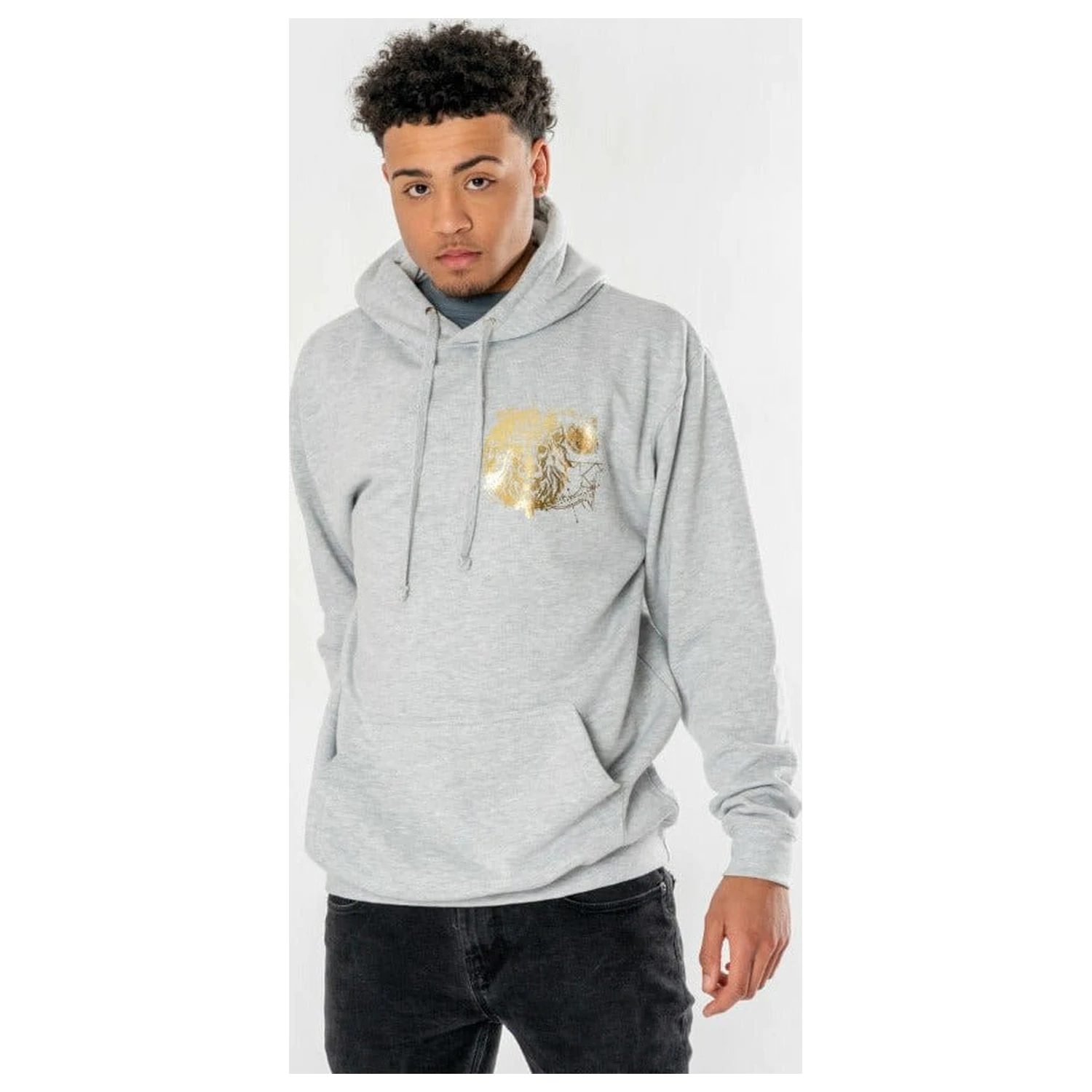 Harry Potter Kapuzenpullover Gryffindor Zodiac Produktfoto