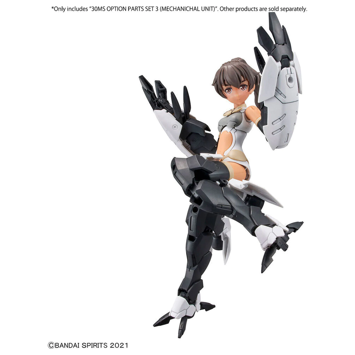 30MS Optional Parts Set 3 Mechanische Einheit Produktfoto