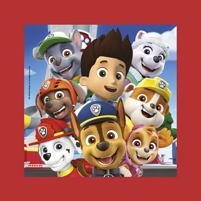 Paw Patrol Frame me Up puzzle 60St Produktfoto