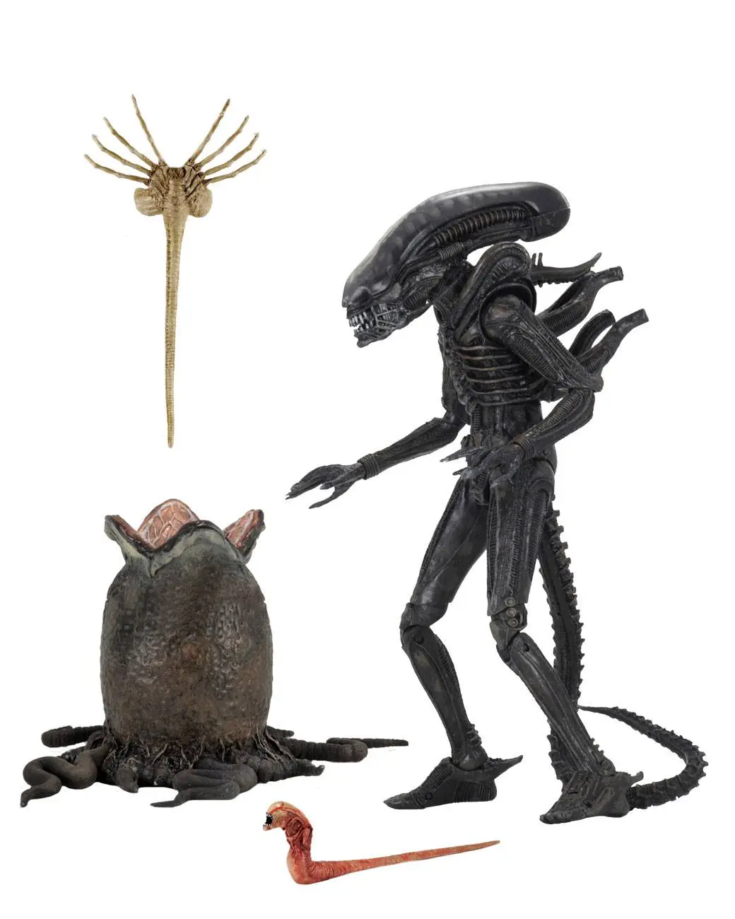 Alien 1979 Action-Figur Ultimate 40th Anniversary Big Chap 23 Zentimeter Produktfoto