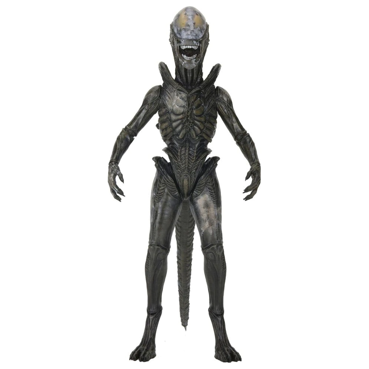 Alien: Earth Ultimate Actionfigur Wendy's Xenomorph 18 cm Produktfoto