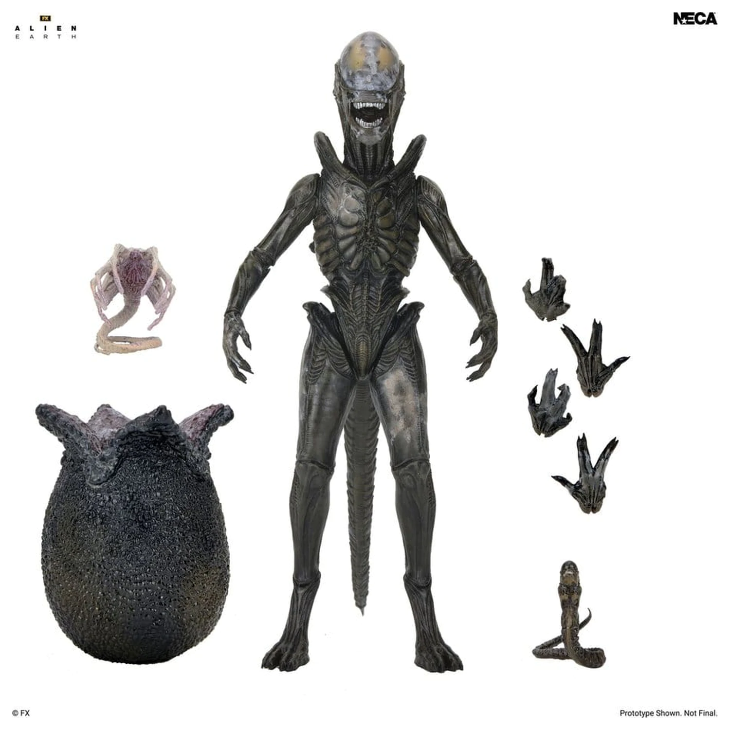 Alien: Earth Ultimate Actionfigur Wendy's Xenomorph 18 cm Produktfoto