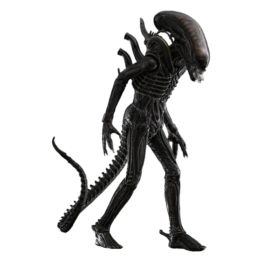 Alien Movie Masterpiece Action Figur 1/6 Big Chap 36 Zentimeter Produktfoto