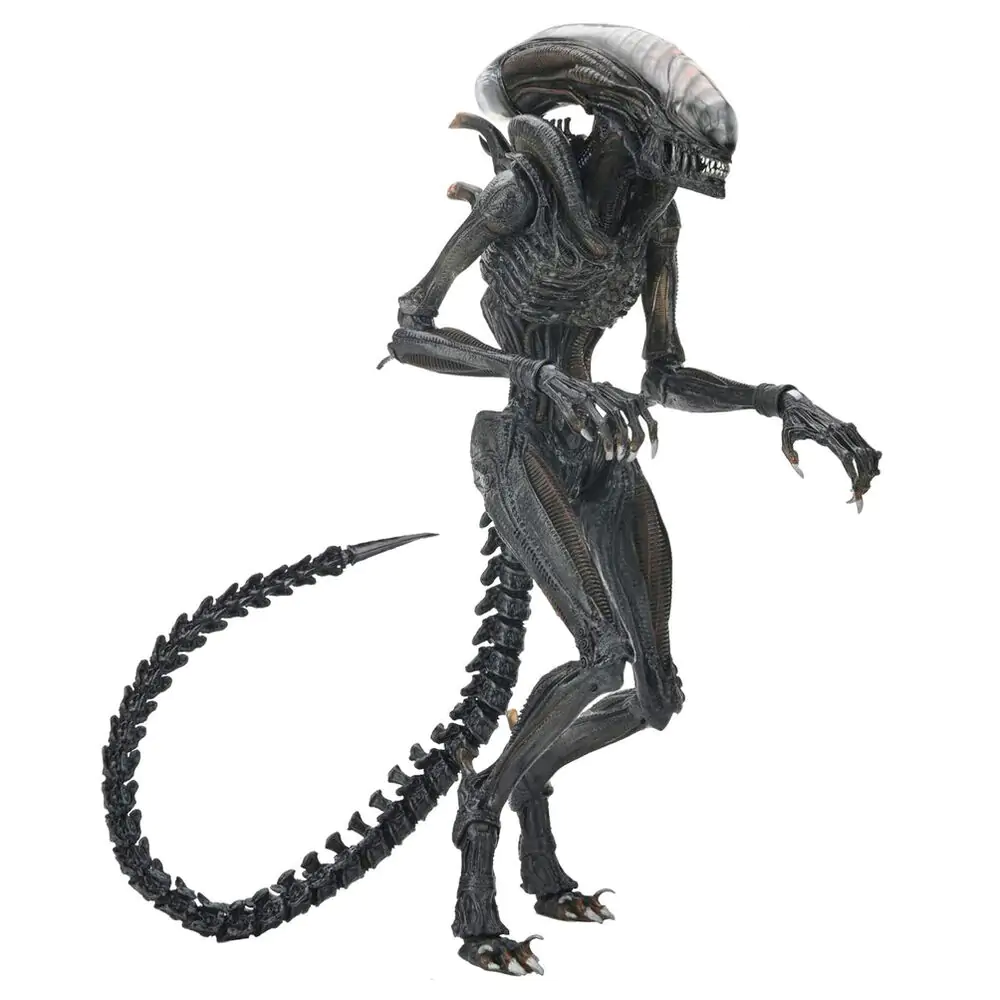 Alien Romulus Scorched Xnomorph Ultimate Figur 23cm termékfotó