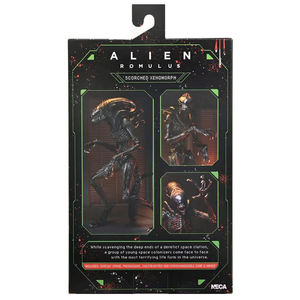 Alien Romulus Scorched Xnomorph Ultimate Figur 23cm termékfotó