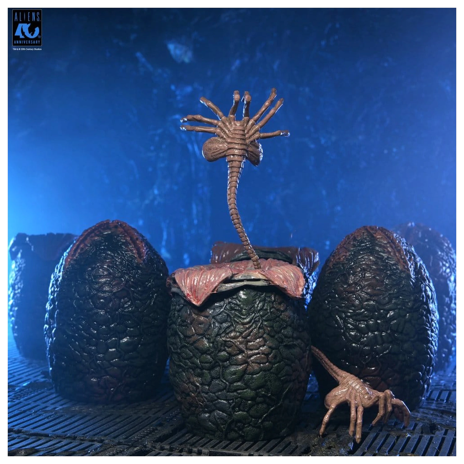 Aliens 6er-Pack Zubehörpackung Karton mit Alien Eiern (40th Anniversary) Produktfoto