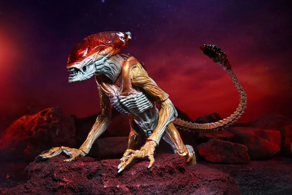 Aliens Actionfigur Panther Alien (Kenner Tribute) 23 cm termékfotó