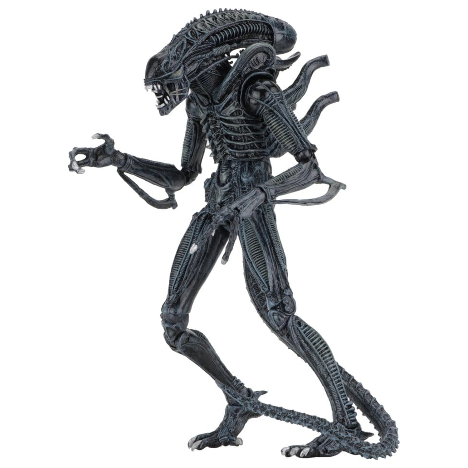 Aliens Ultimate Actionfigur Warrior (1986) Blue 23 cm Produktfoto