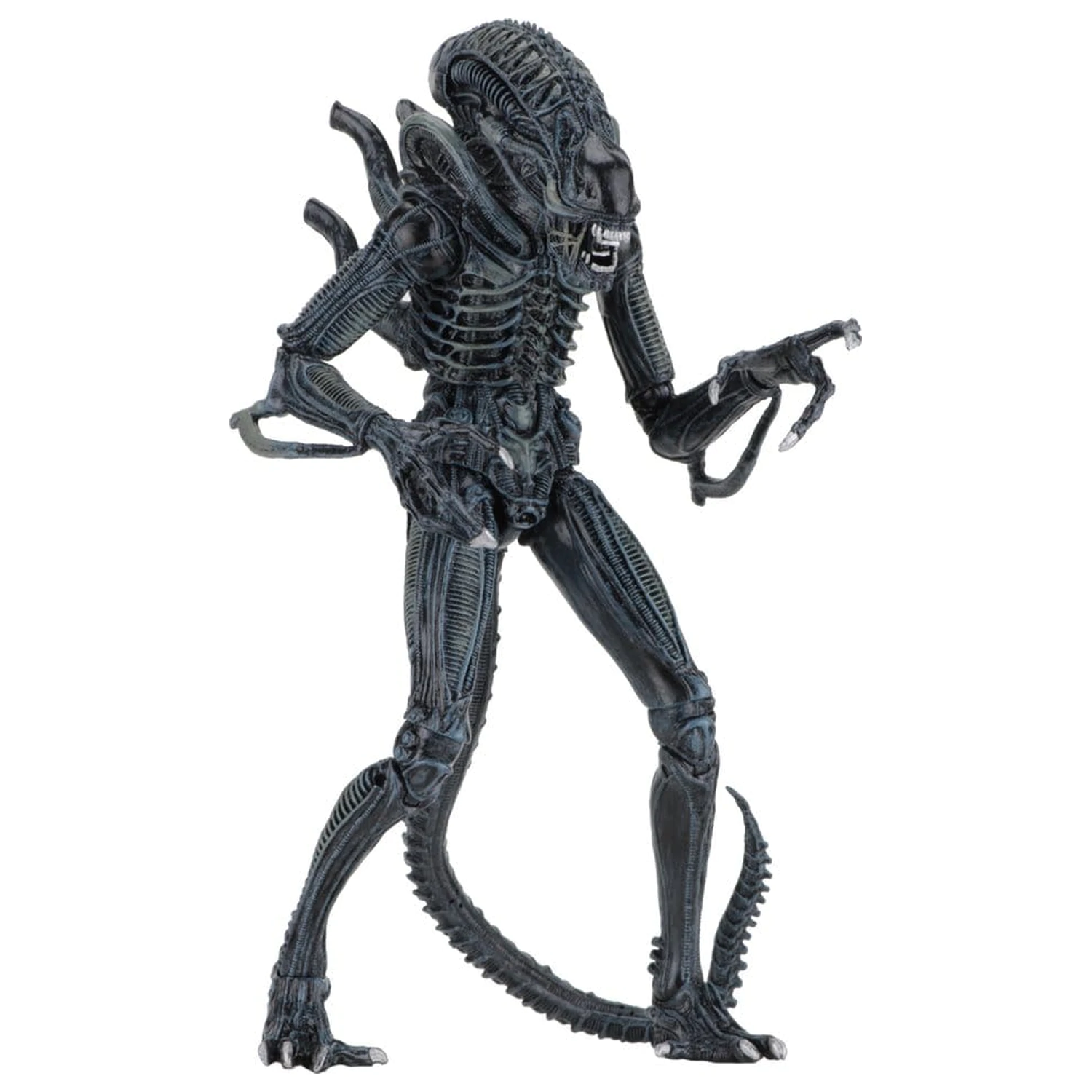 Aliens Ultimate Actionfigur Warrior (1986) Blue 23 cm Produktfoto