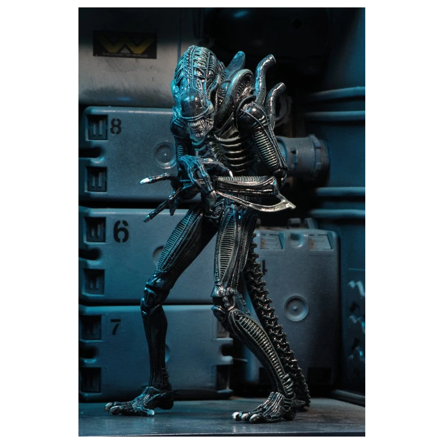 Aliens Ultimate Actionfigur Warrior (1986) Blue 23 cm Produktfoto