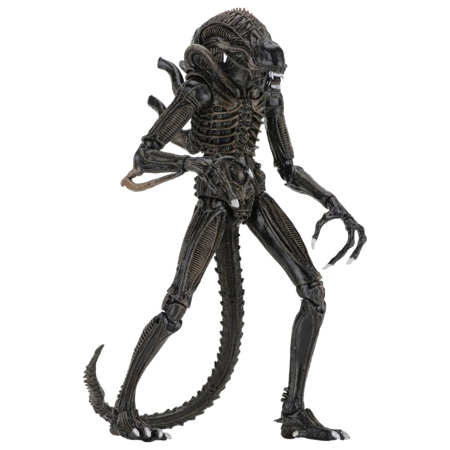 Aliens Ultimate Actionfigur Warrior (1986) Brown 23 cm Produktfoto