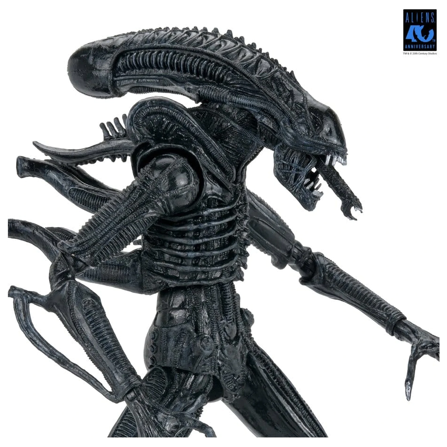 Aliens Ultimate Actionfigur Warrior (1986) Xenomorph Black (40th Anniversary) 23 cm Produktfoto
