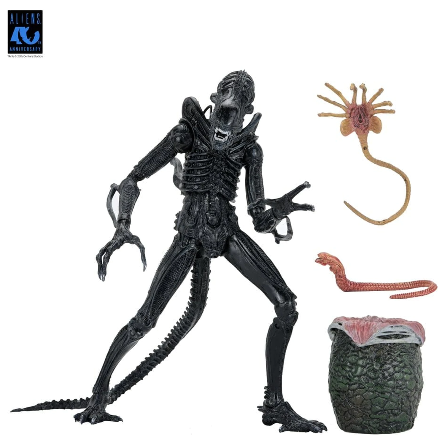 Aliens Ultimate Actionfigur Warrior (1986) Xenomorph Black (40th Anniversary) 23 cm Produktfoto