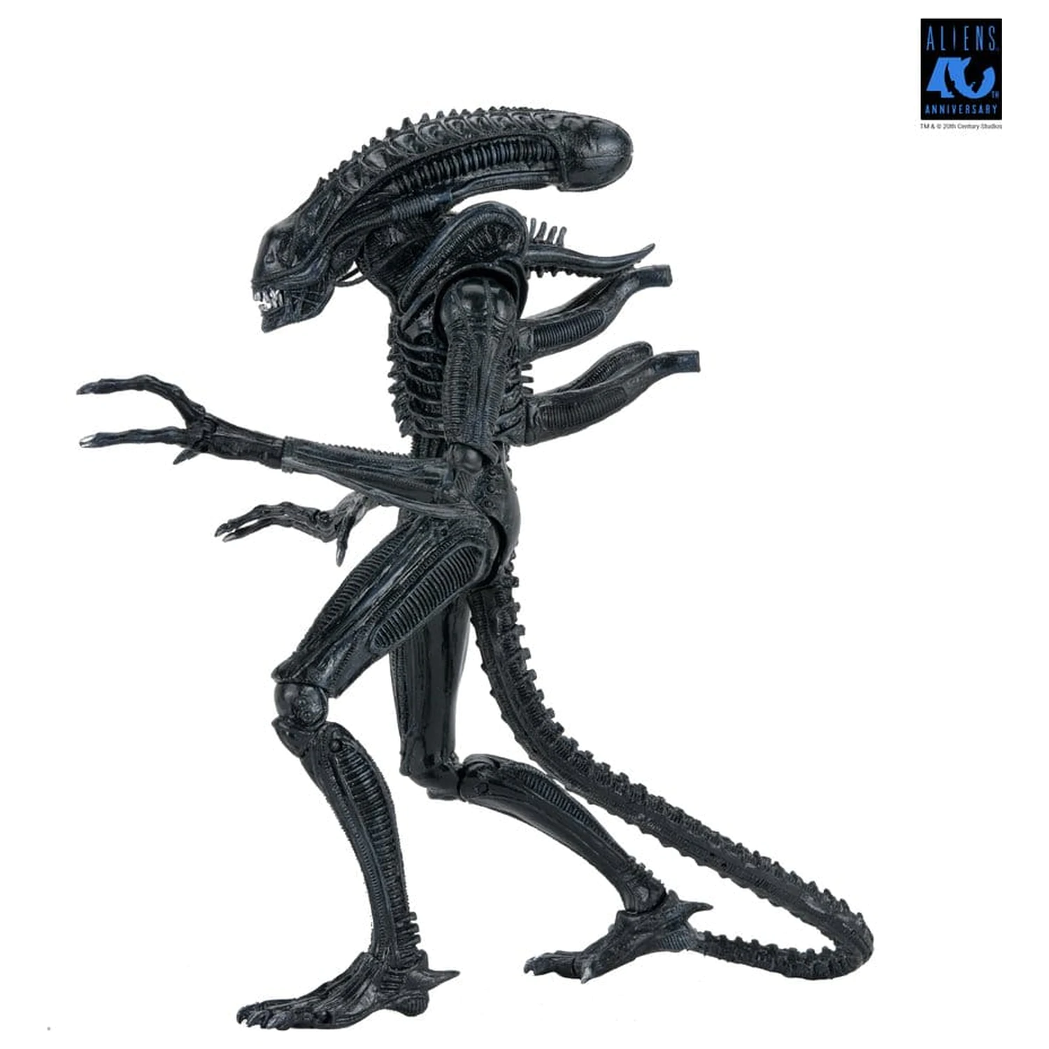 Aliens Ultimate Actionfigur Warrior (1986) Xenomorph Black (40th Anniversary) 23 cm Produktfoto