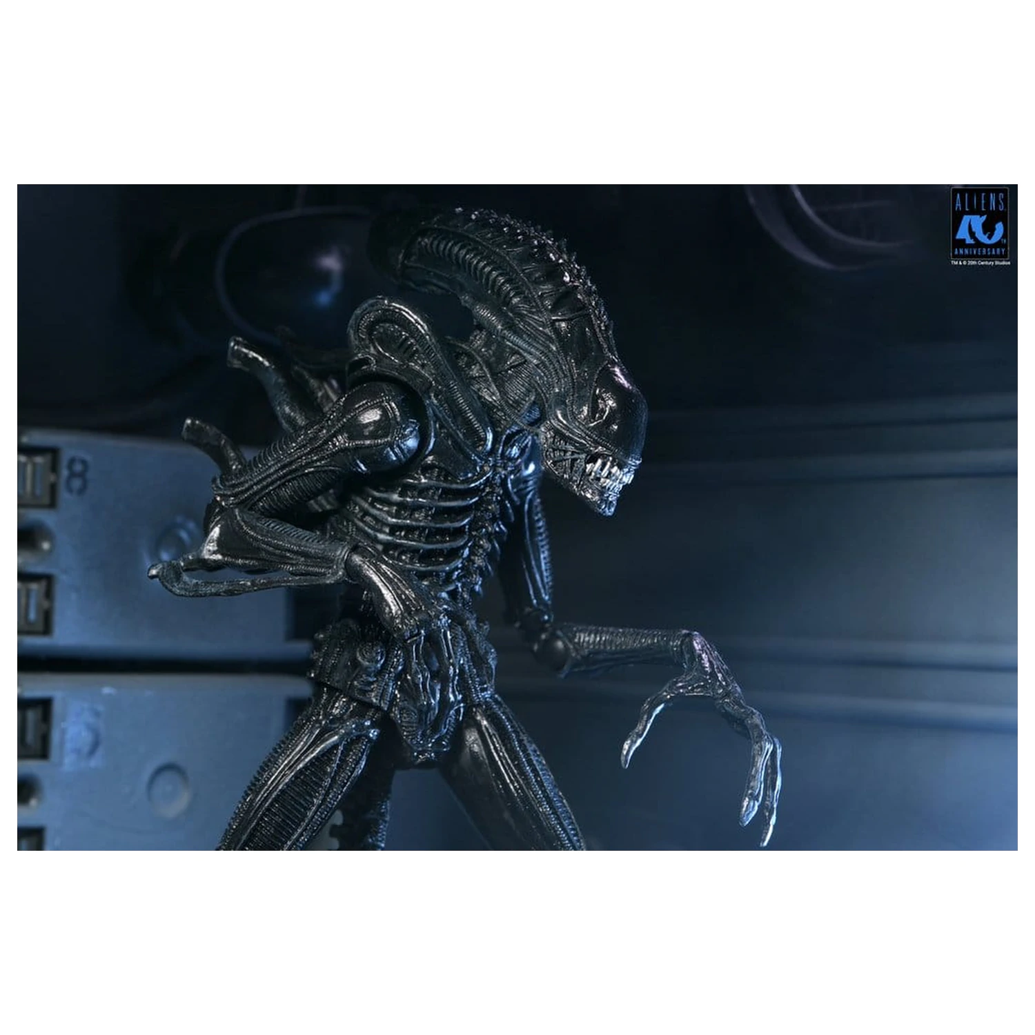 Aliens Ultimate Actionfigur Warrior (1986) Xenomorph Black (40th Anniversary) 23 cm Produktfoto