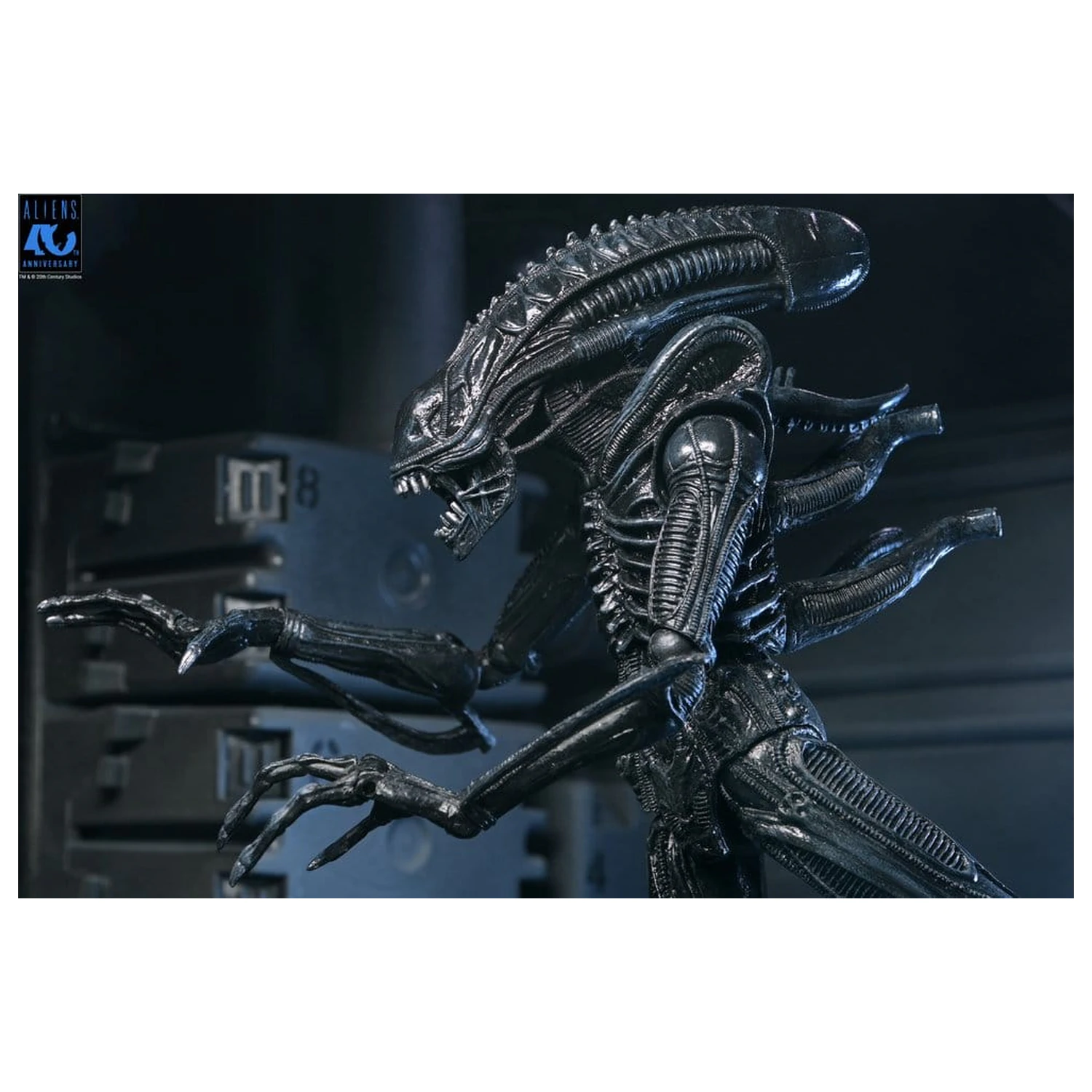 Aliens Ultimate Actionfigur Warrior (1986) Xenomorph Black (40th Anniversary) 23 cm Produktfoto
