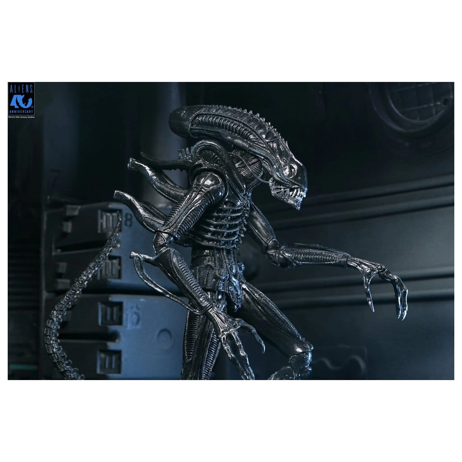Aliens Ultimate Actionfigur Warrior (1986) Xenomorph Black (40th Anniversary) 23 cm Produktfoto