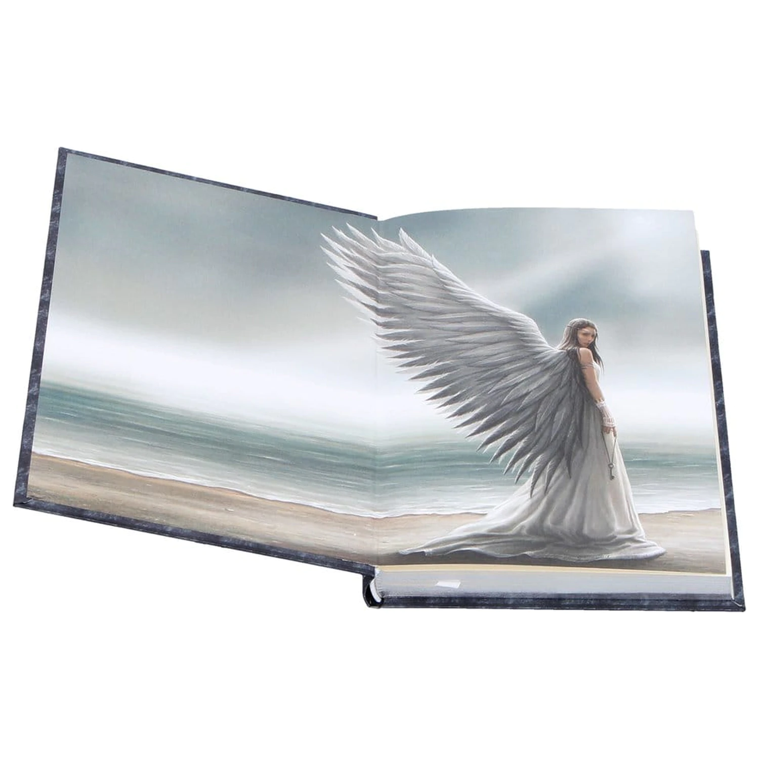 Anne Stokes Notizbuch Spirit Guide A5 Produktfoto