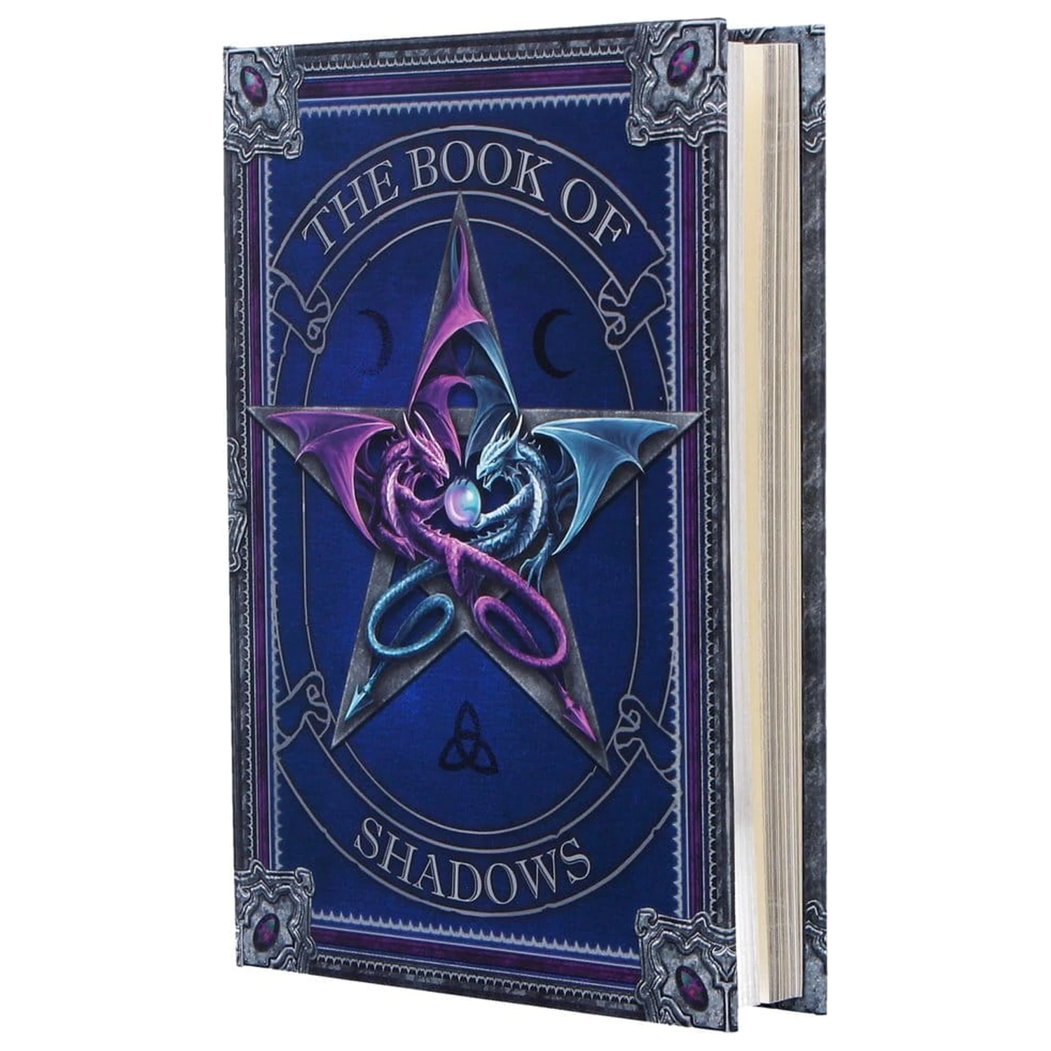 Anne Stokes Journal Das Buch der Schatten A5 Produktfoto