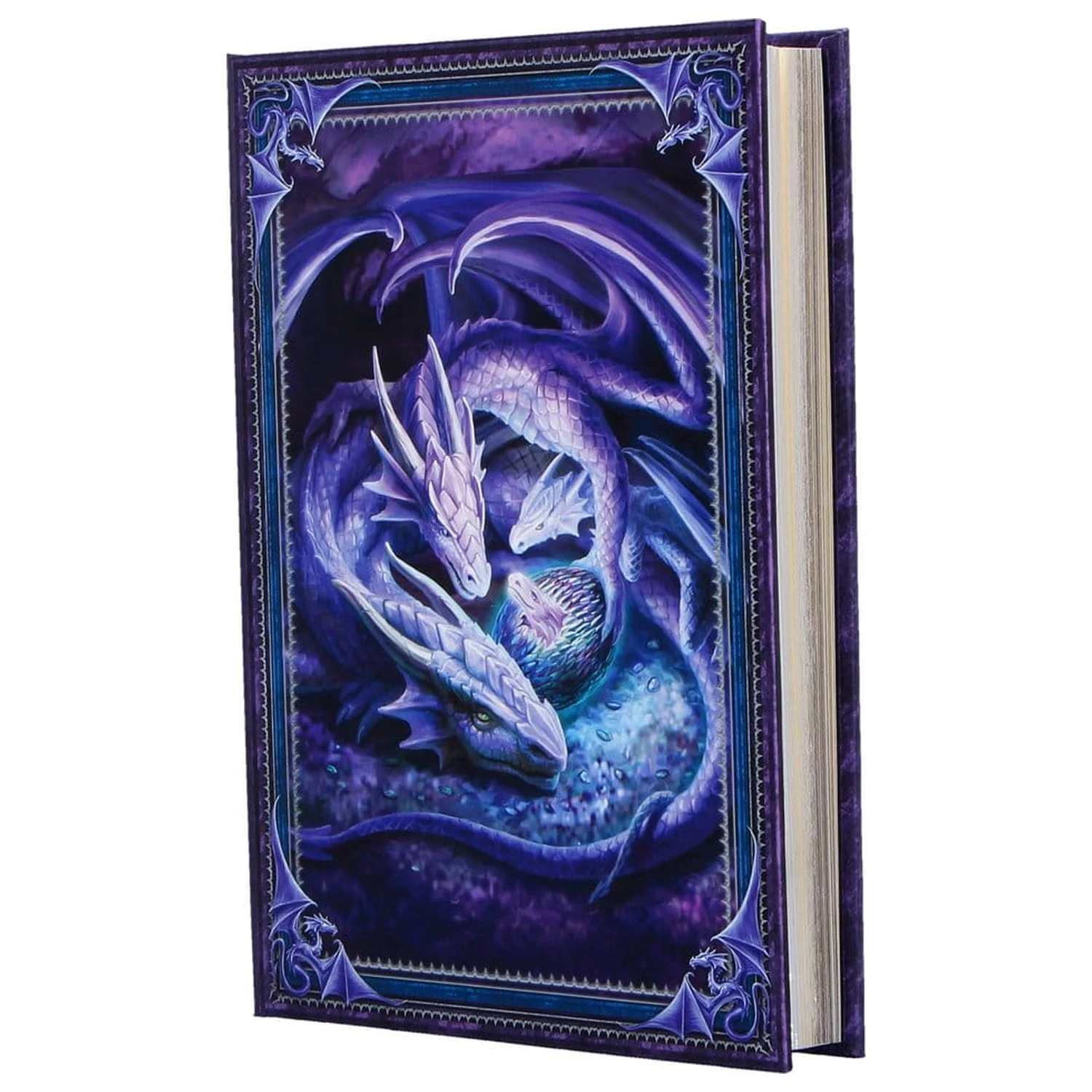 Anne Stokes Notizbuch Welcome Hatchling A5 Produktfoto