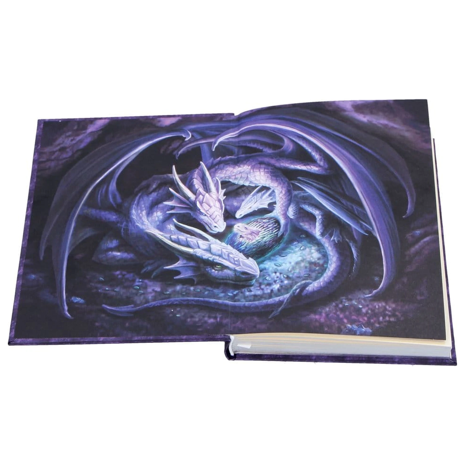 Anne Stokes Notizbuch Welcome Hatchling A5 Produktfoto