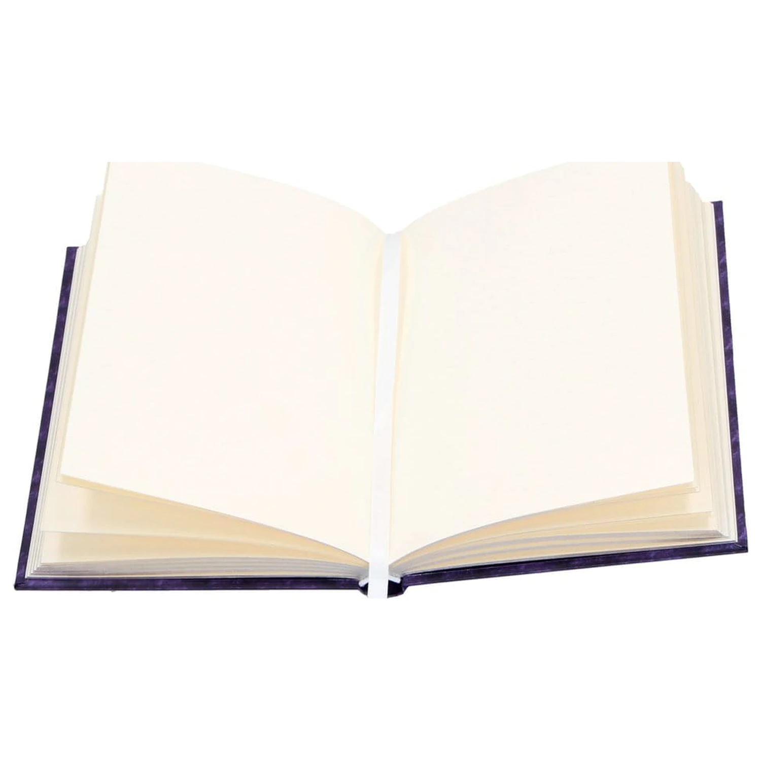 Anne Stokes Notizbuch Welcome Hatchling A5 Produktfoto