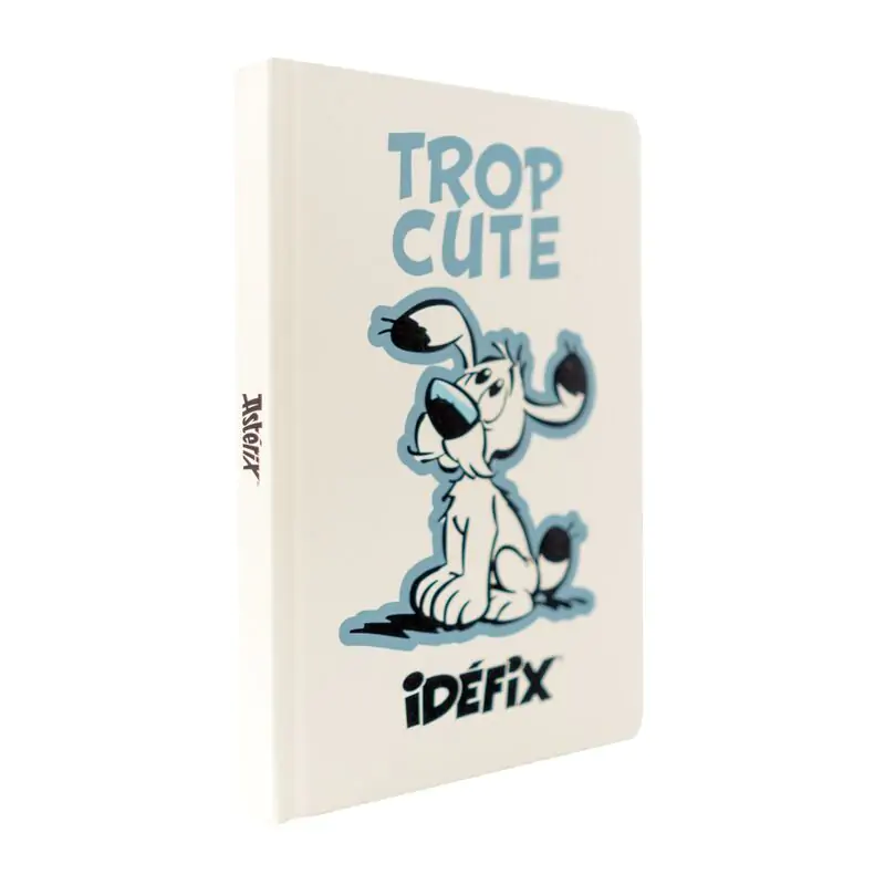 Asterix and Obelix - Ideafix A5 Notizbuch termékfotó