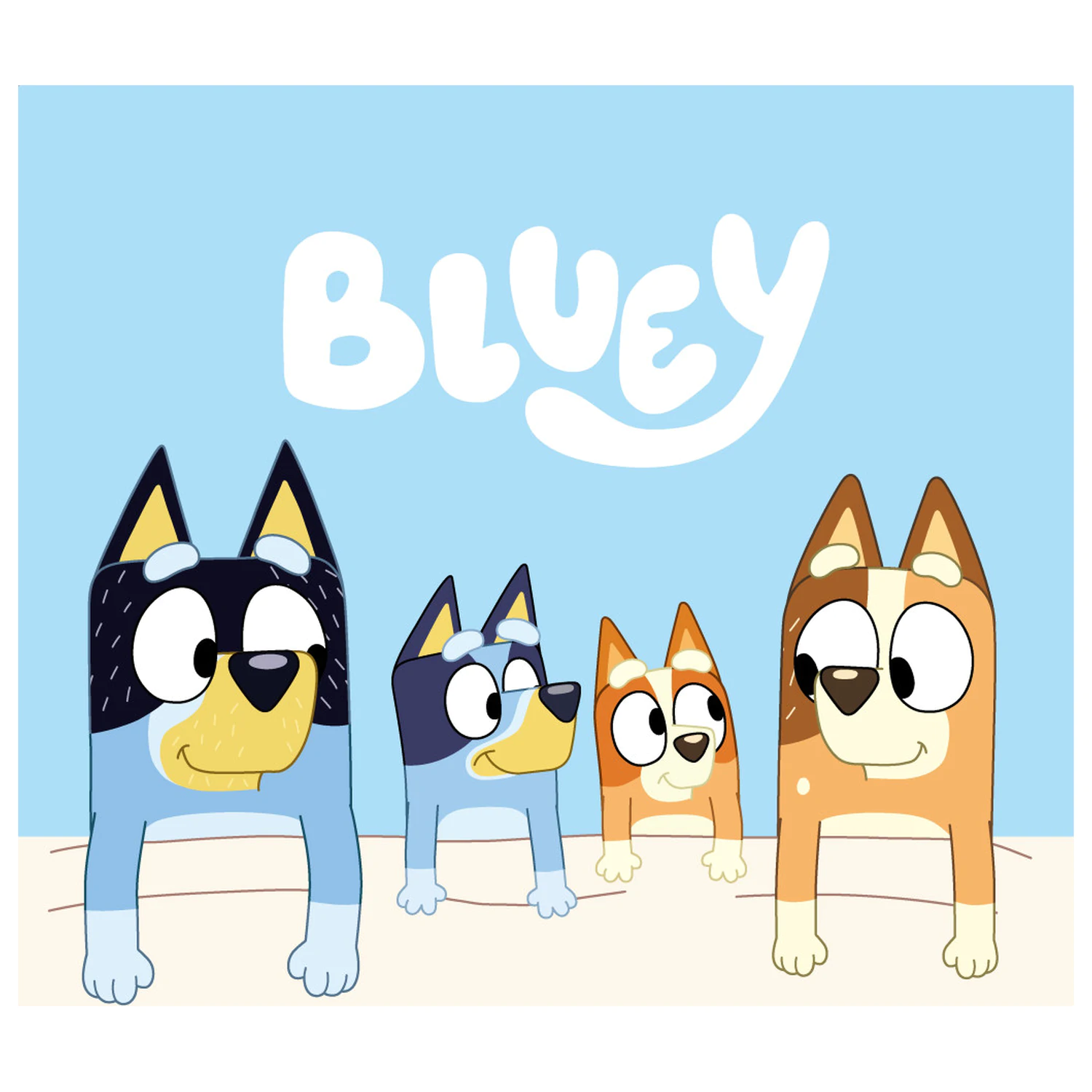 Bluey Cozy Handtuch, Gesichtshandtuch, Handtuch Produktfoto