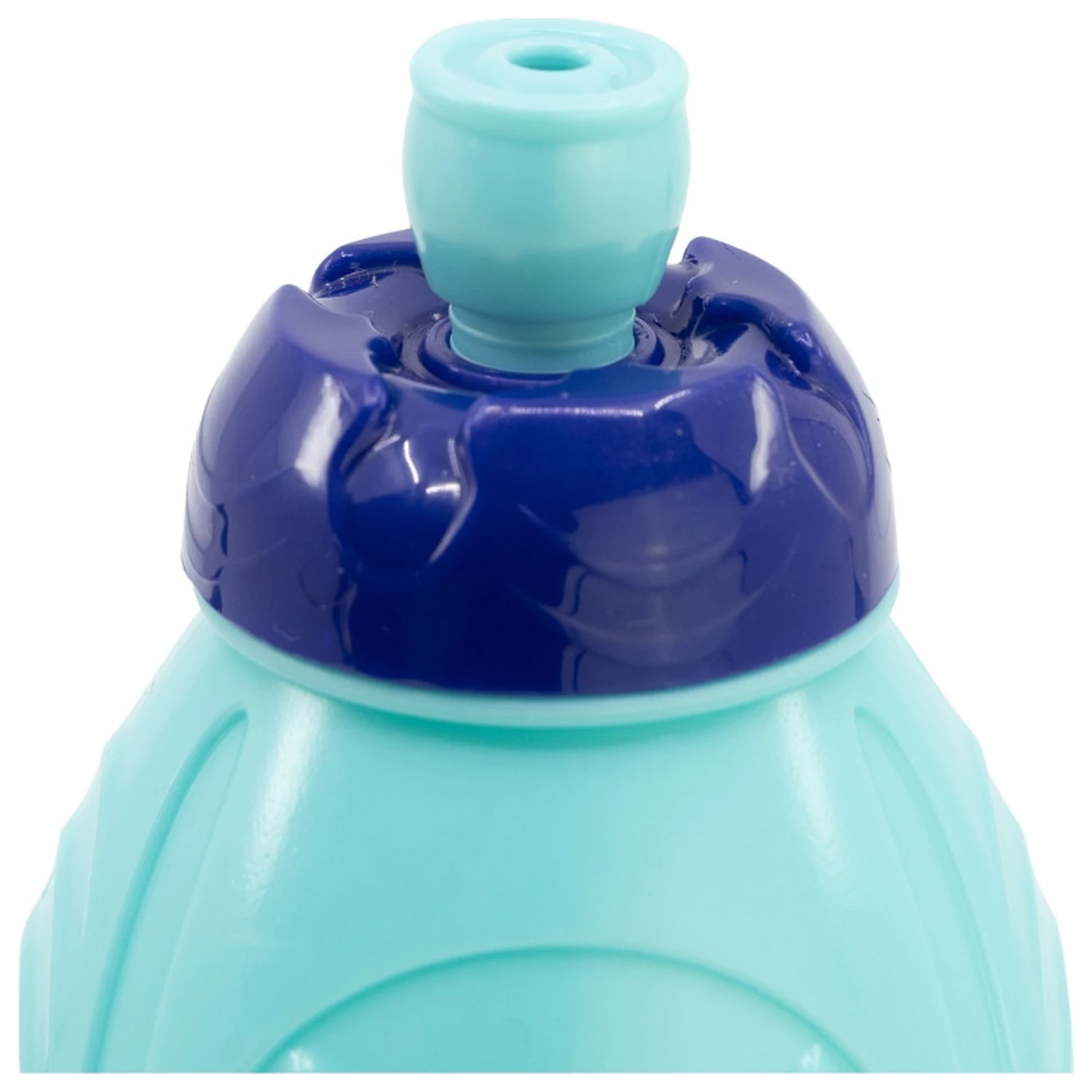Bluey Leaves Kunststoff Sportflasche 400 ml Produktfoto