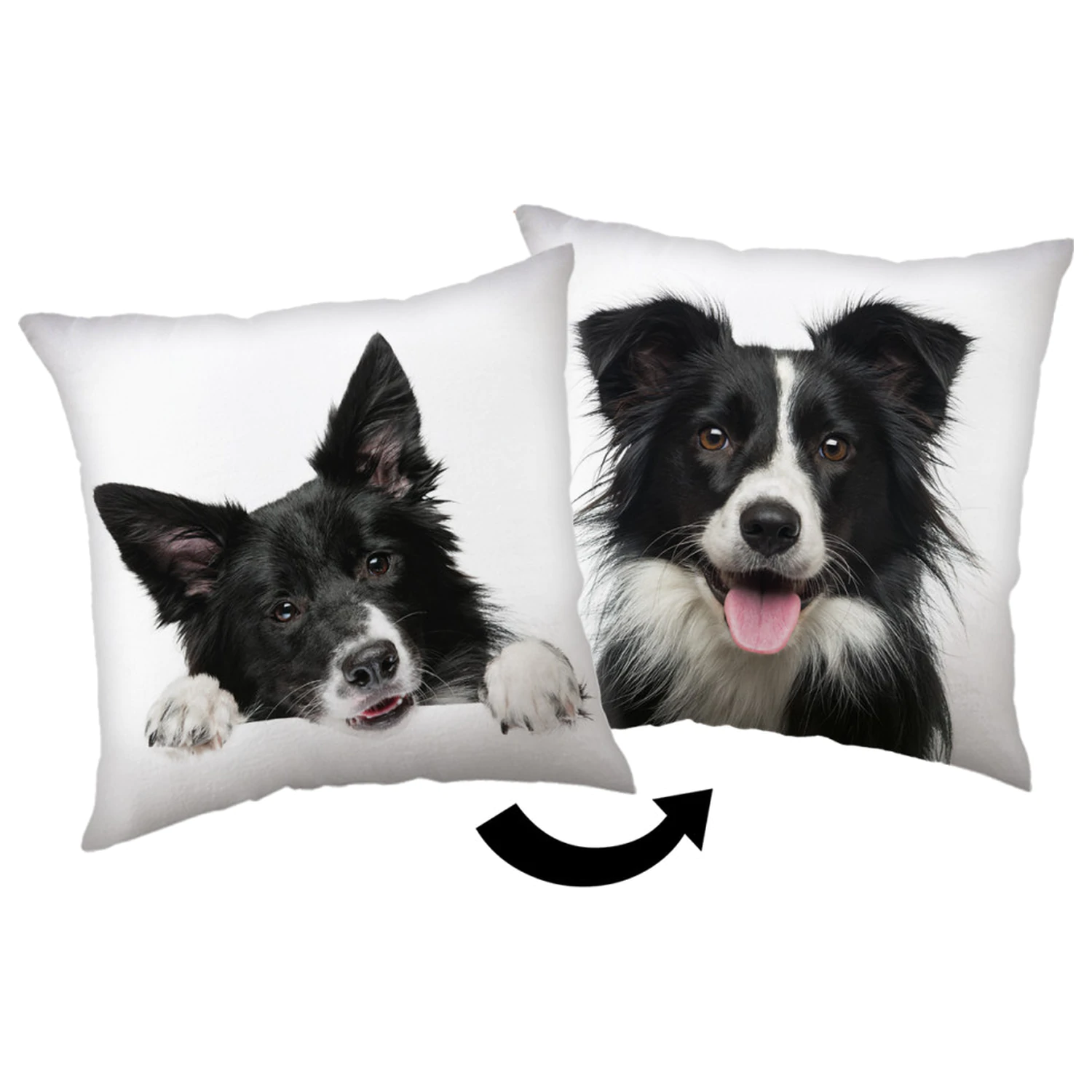 Border Collie Kissen Produktfoto