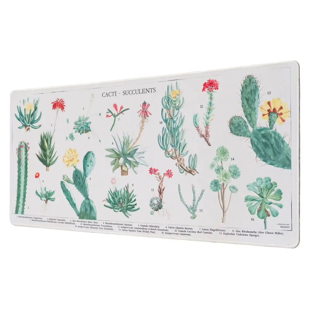 Botanische Cacti Gaming-Schreibtischunterlage Produktfoto