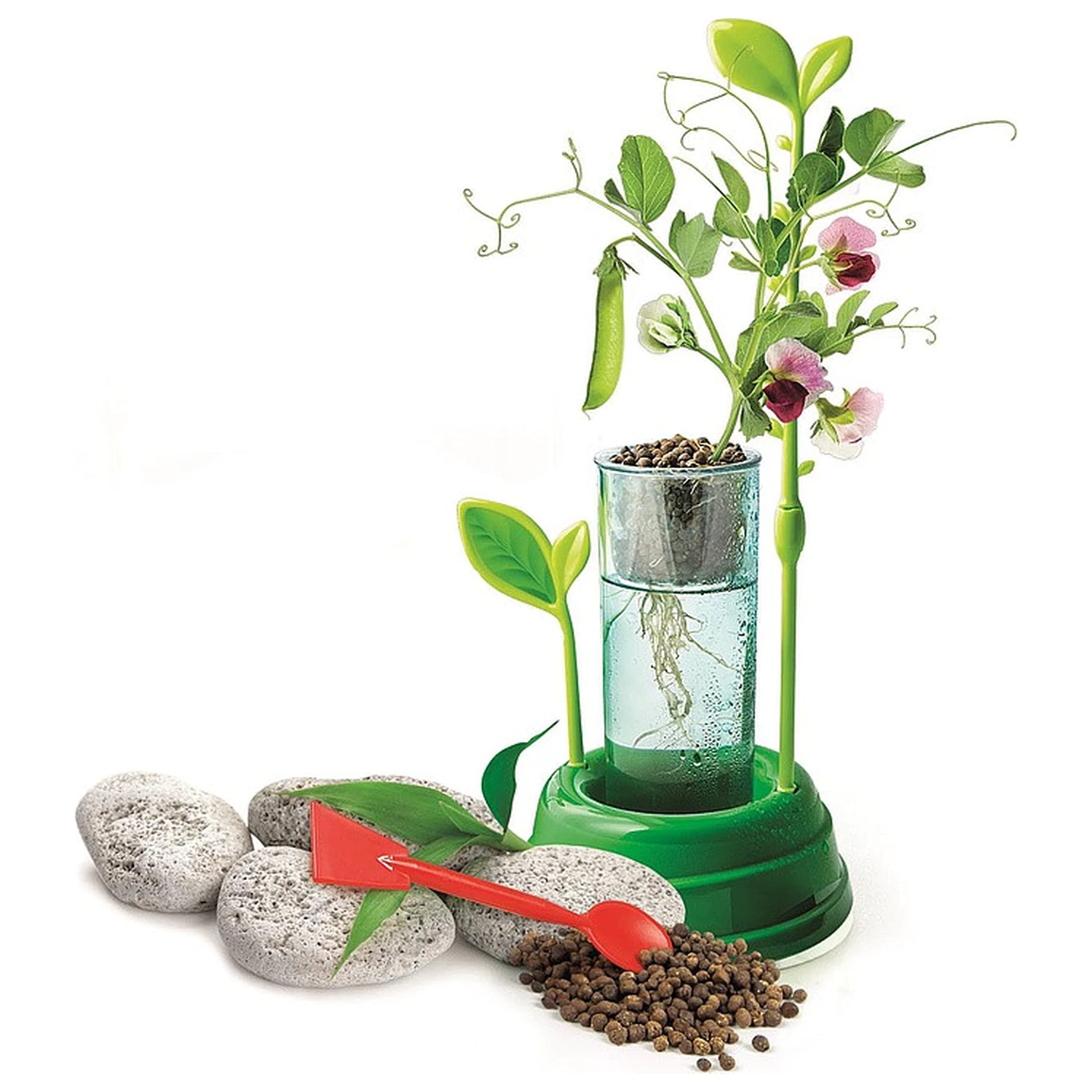 Botanical Lab Set Wissenschaft Produktfoto