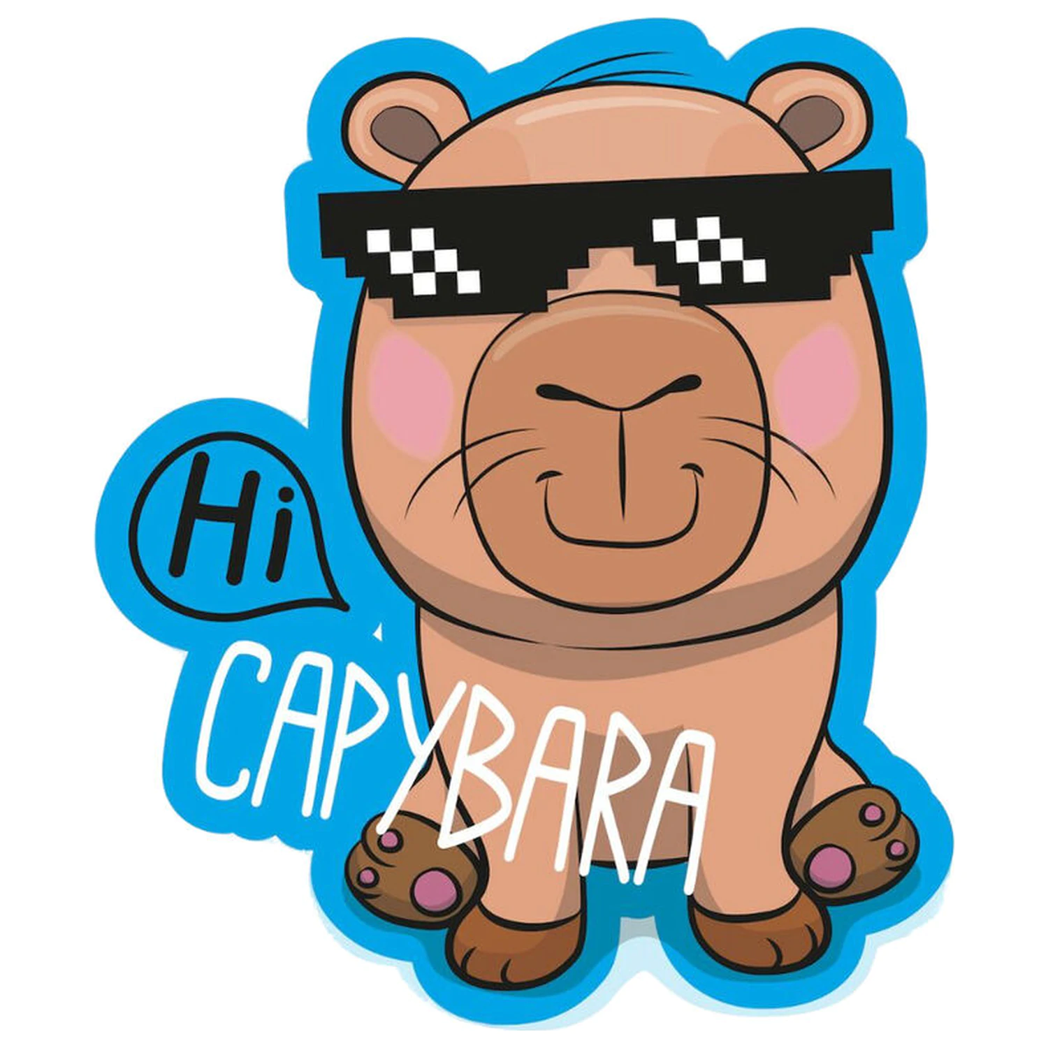 Capybara 3D Kissen Produktfoto