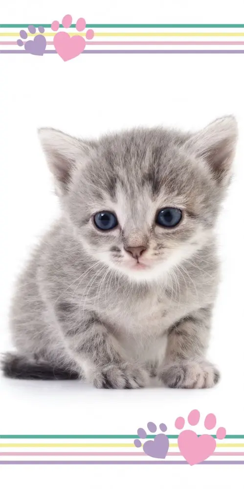 Cat Print Badehandtuch, Strandtuch 70*140 cm Produktfoto