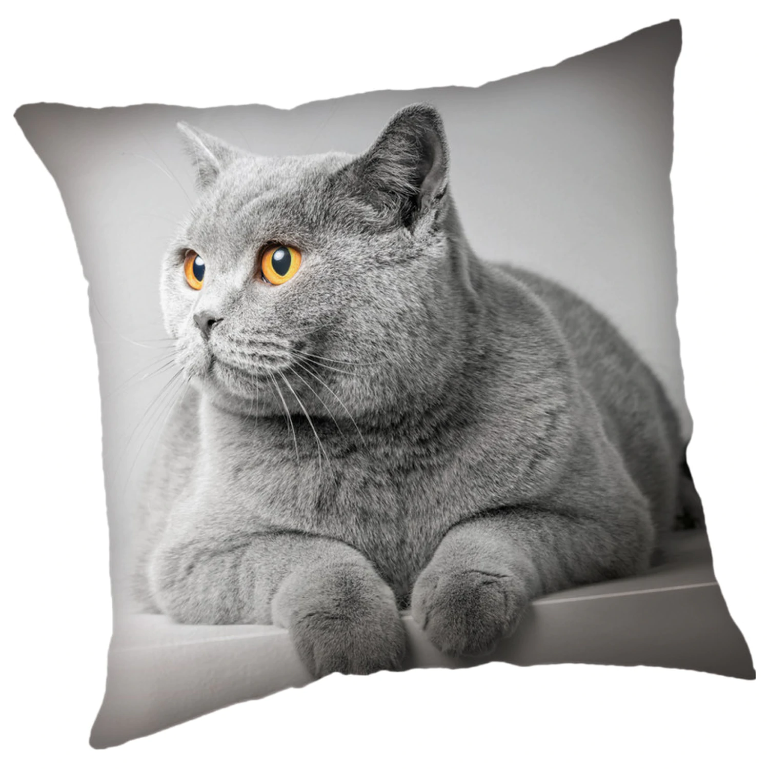 Cats Grey Kopfkissenbezug Produktfoto