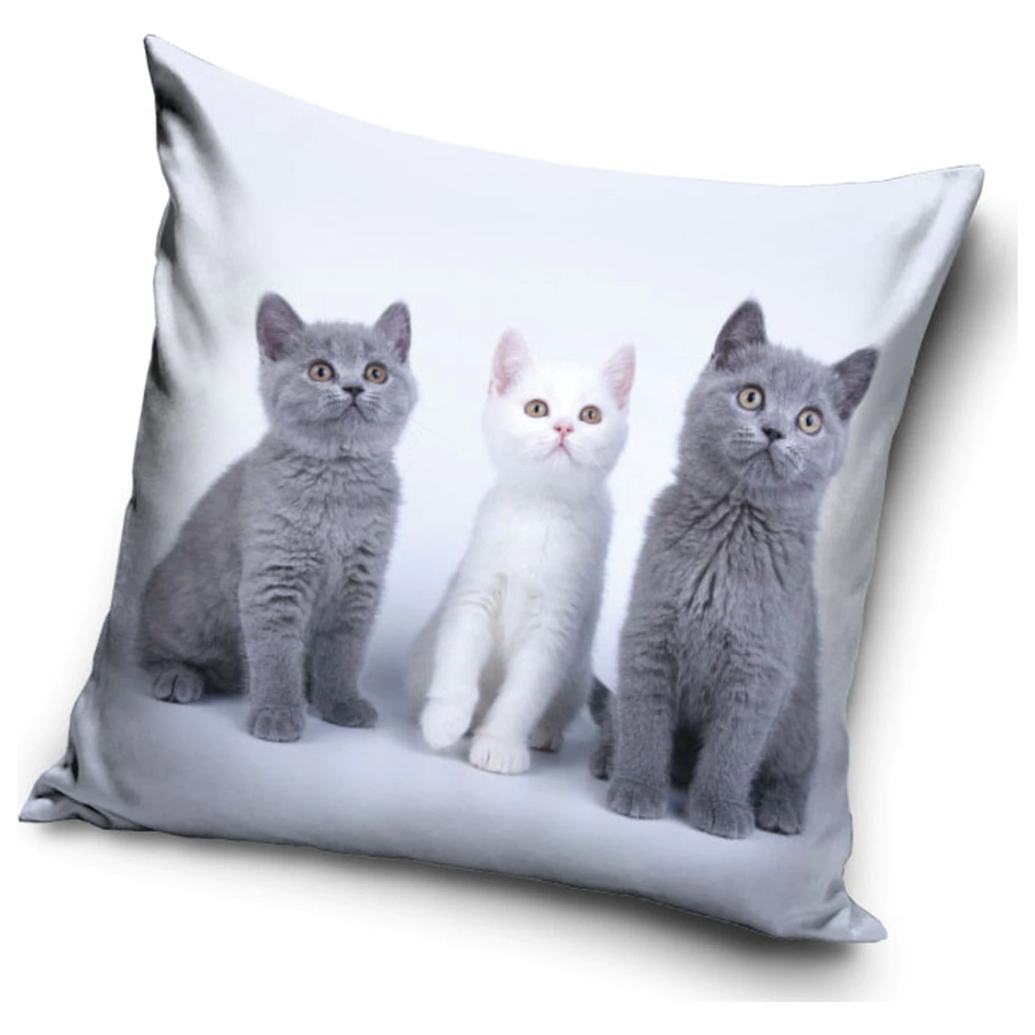 Cat Trio Kissenbezug Produktfoto