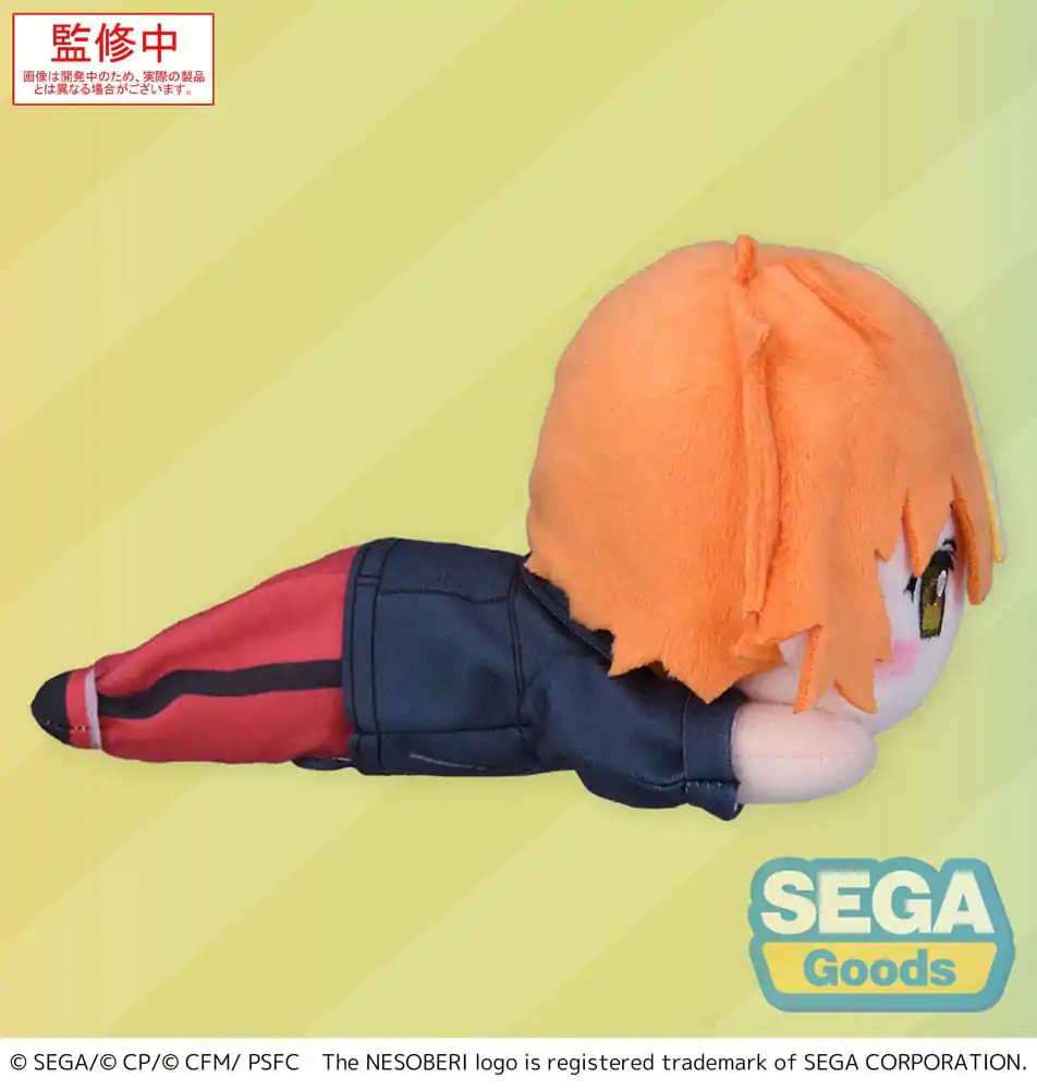 COLORFUL STAGE! The Movie: A Miku Who Can't Sing Nesoberi Liege-Plüschfigur Shinonome Akito 16 cm Produktfoto