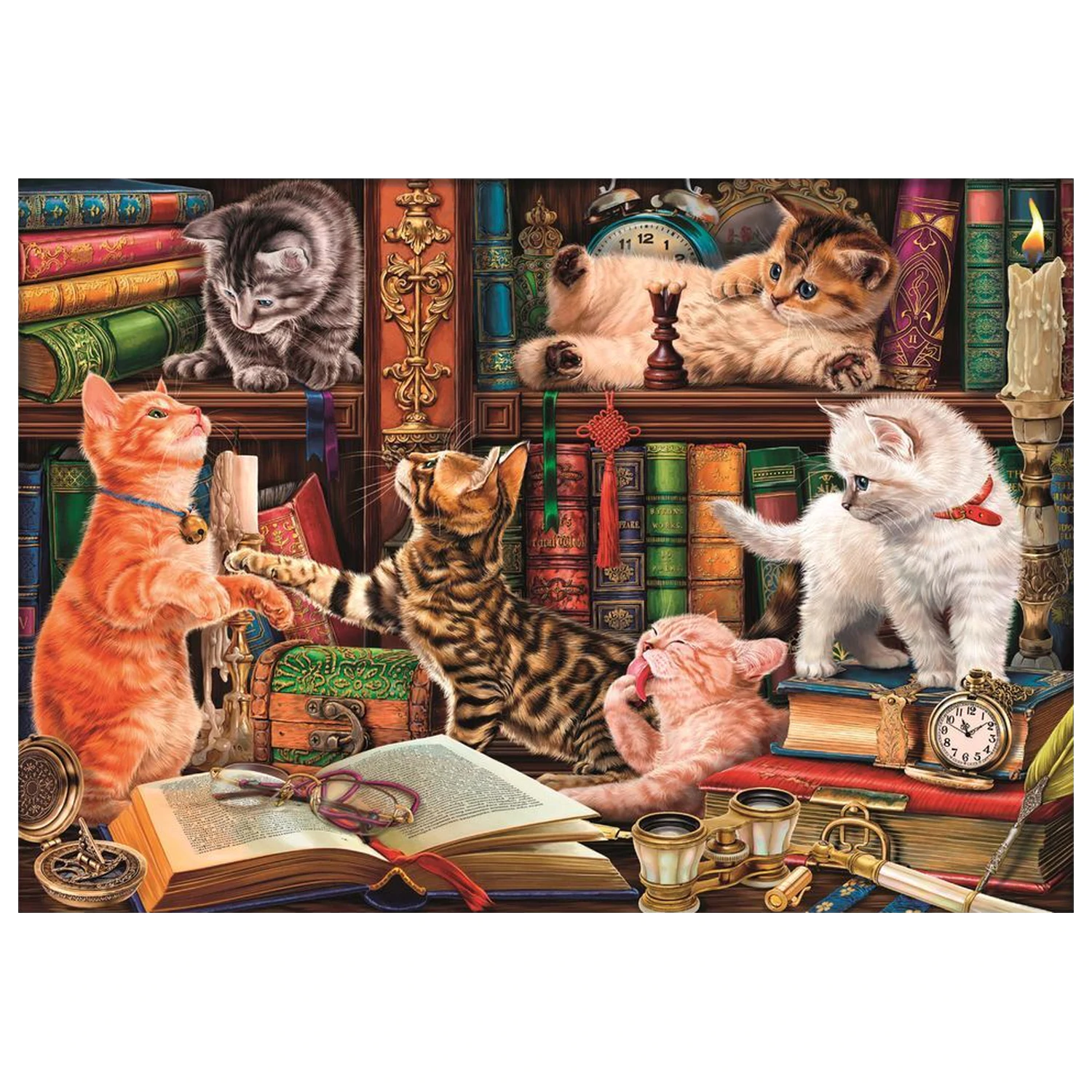 Curious Whiskers puzzle 1000 Teile Produktfoto