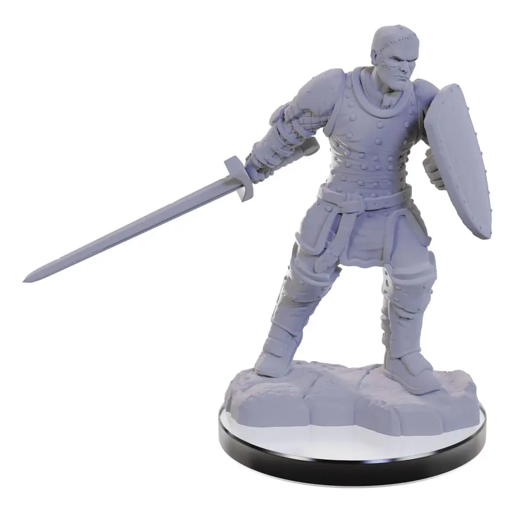 D&amp;D Nolzur's Marvelous Miniatures Miniatur unbemalt Reborn Paladin &amp; Warlock Produktfoto