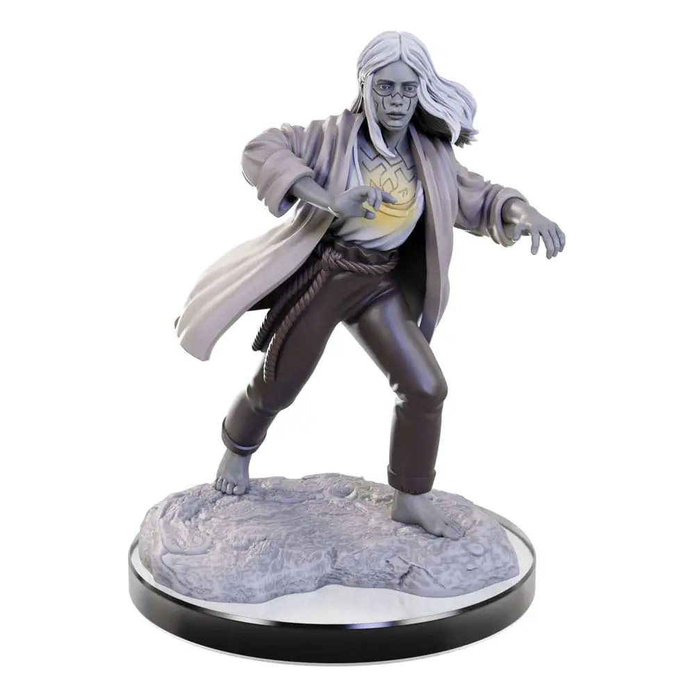 D&amp;D Nolzur's Marvelous Miniatures Miniatur unbemalt Reborn Paladin &amp; Warlock Produktfoto