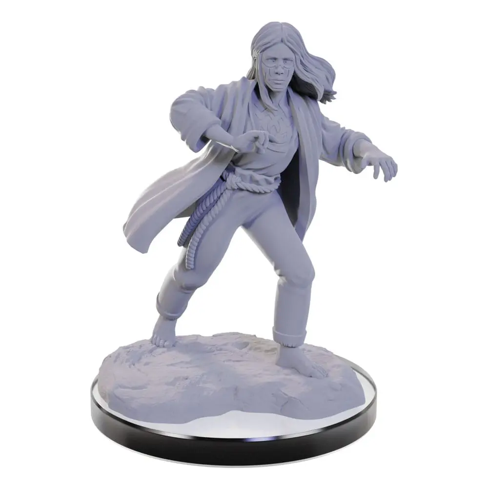 D&amp;D Nolzur's Marvelous Miniatures Miniatur unbemalt Reborn Paladin &amp; Warlock Produktfoto