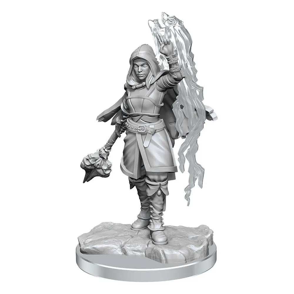 D&D Nolzur's Marvelous Miniatures Miniaturen unbemalt 2er-Pack Half-Elf Warlock Produktfoto