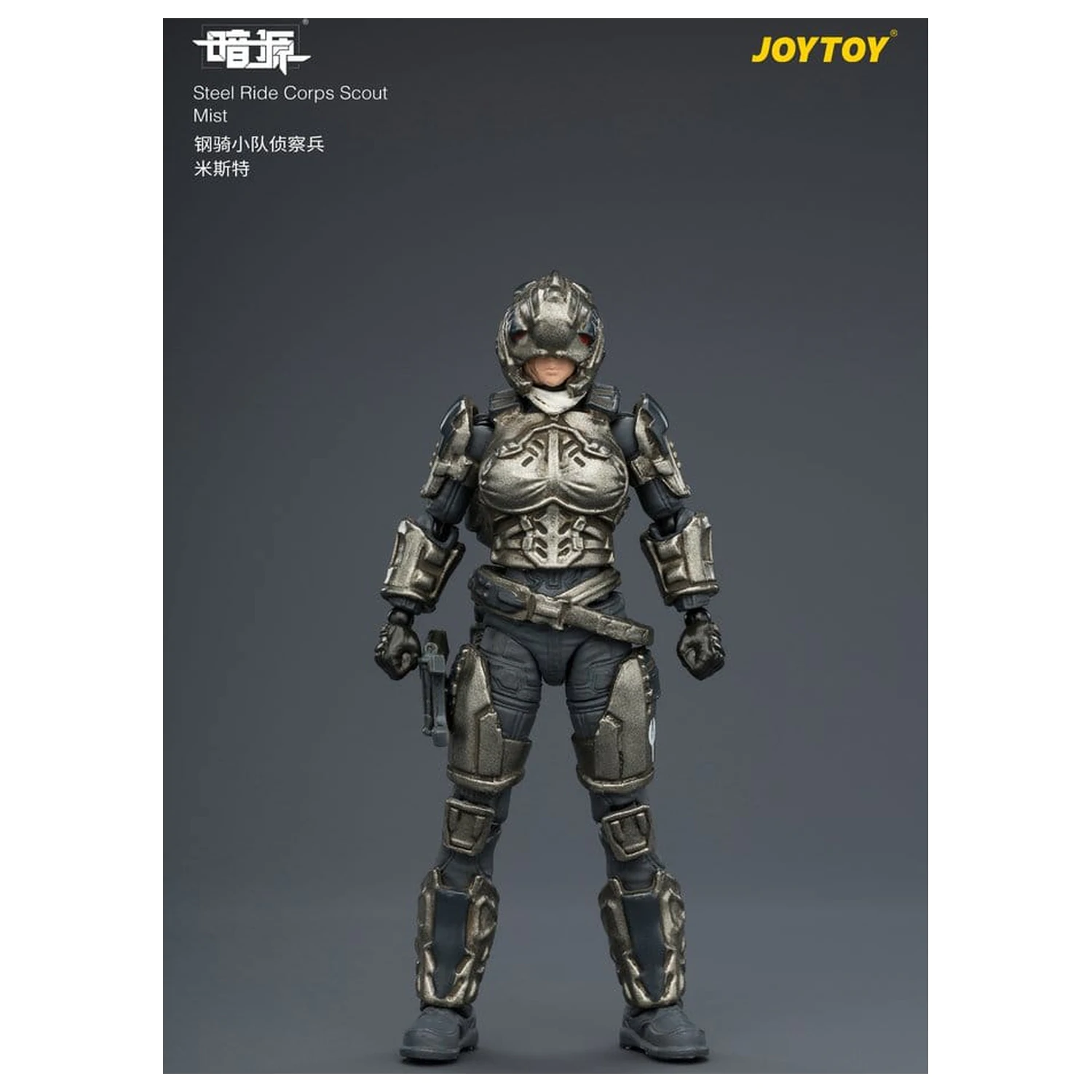 Dark Source Steel Ride Corps Actionfigur Scout Mist 8 cm Produktfoto