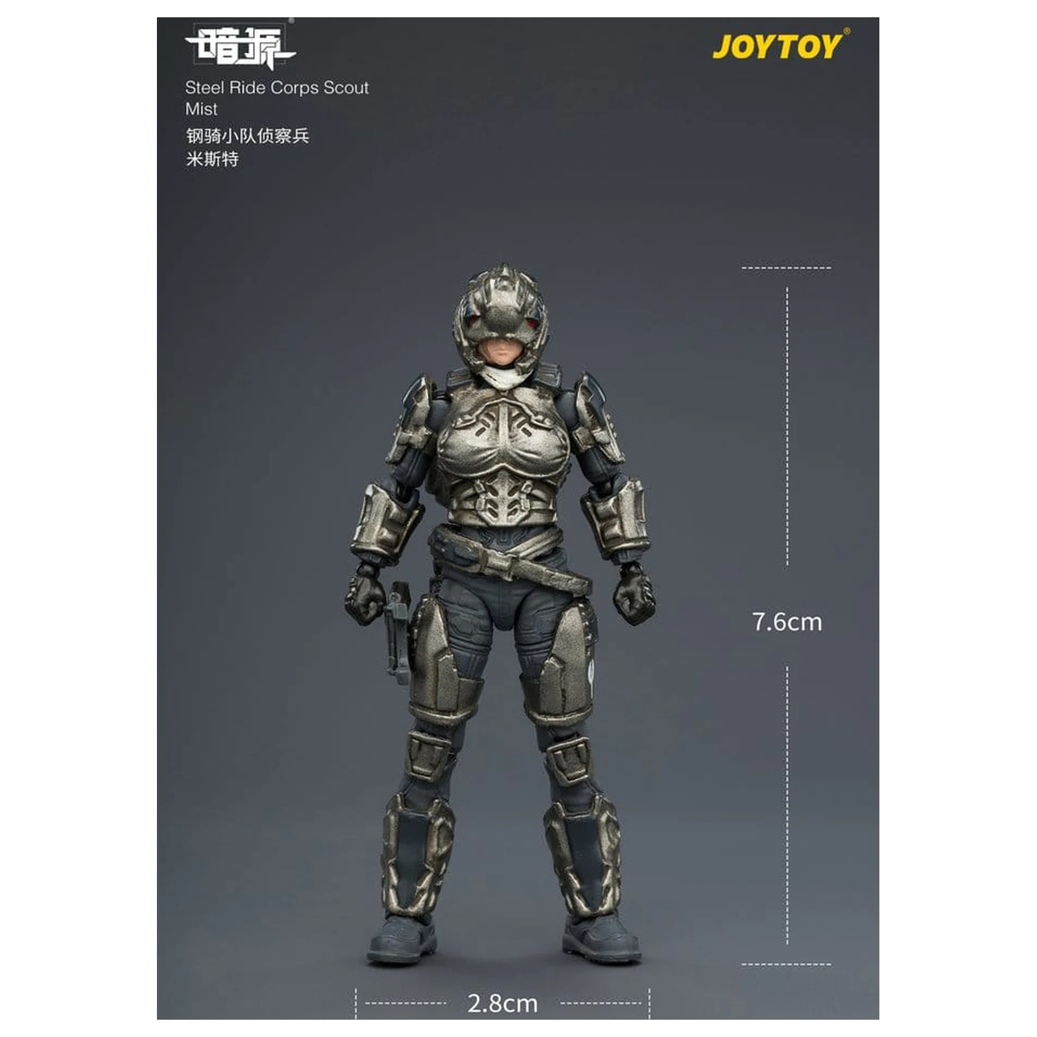 Dark Source Steel Ride Corps Actionfigur Scout Mist 8 cm Produktfoto