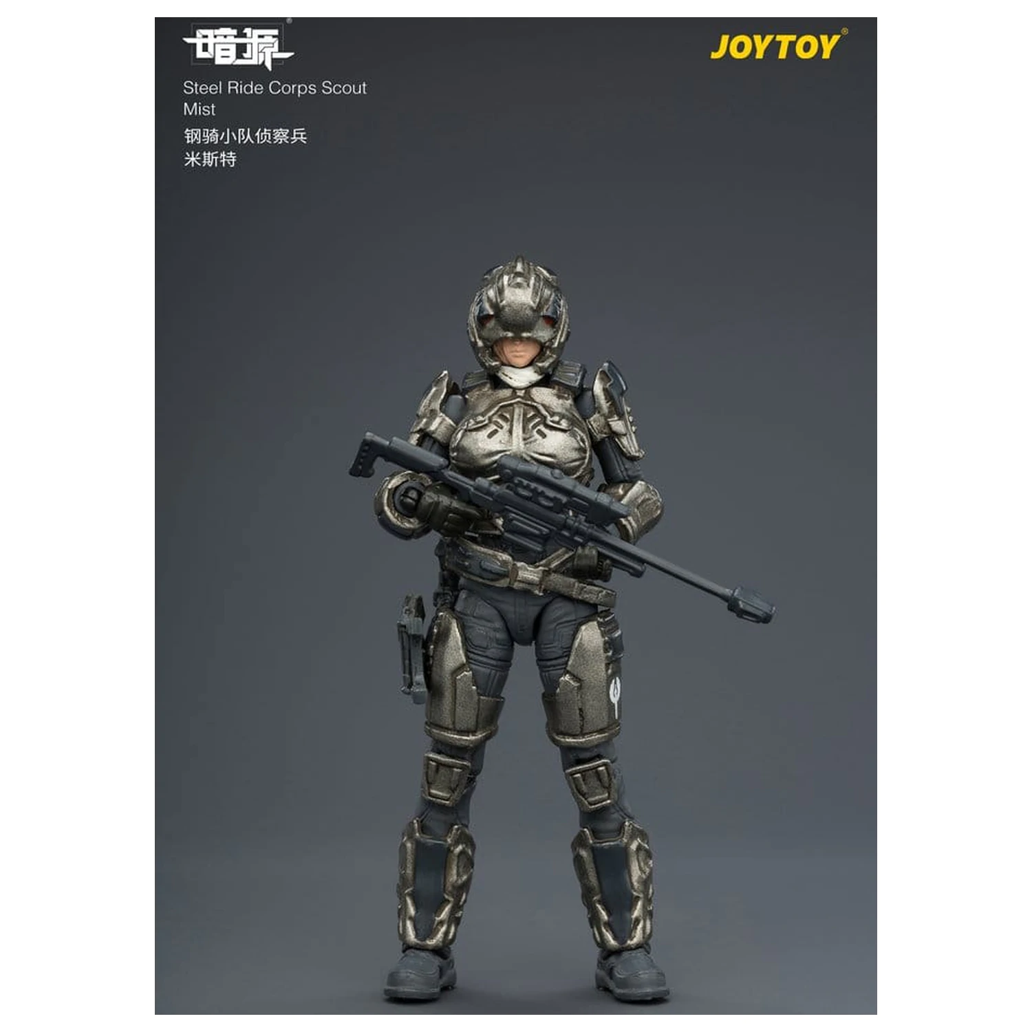 Dark Source Steel Ride Corps Actionfigur Scout Mist 8 cm Produktfoto