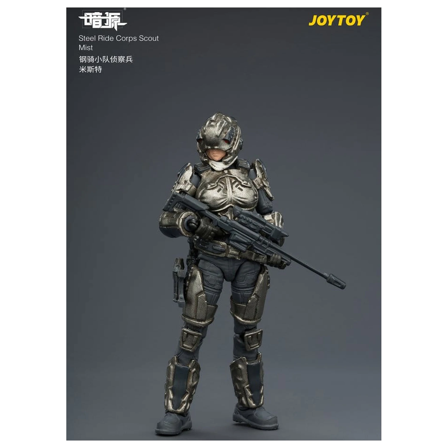 Dark Source Steel Ride Corps Actionfigur Scout Mist 8 cm Produktfoto