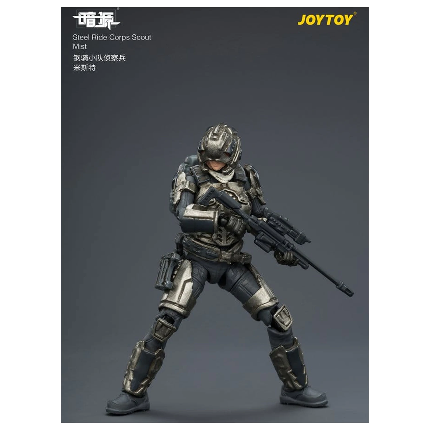 Dark Source Steel Ride Corps Actionfigur Scout Mist 8 cm Produktfoto